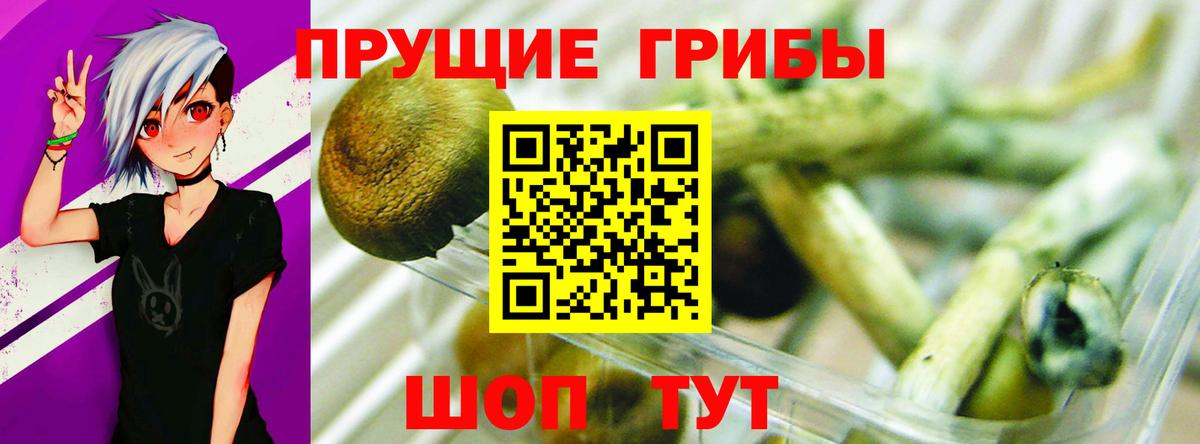 Галлюциногенные грибы Cubensis  Вход с VPN  Урай 